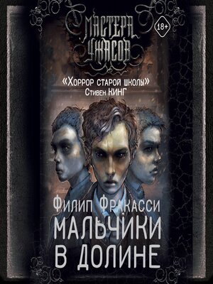 cover image of Мальчики в долине